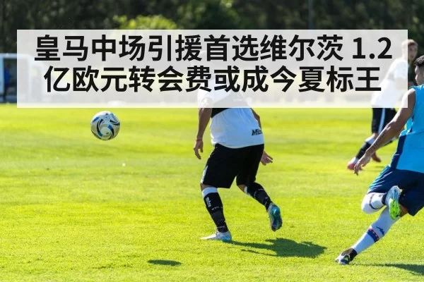 皇马中场引援首选维尔茨 1.2亿欧元转会费或成今夏标王