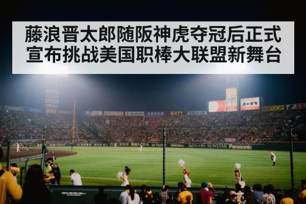 baseball stadium night lights